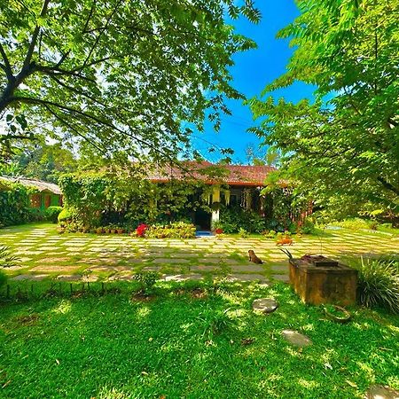 Edgestay Mudigere Dış mekan fotoğraf
